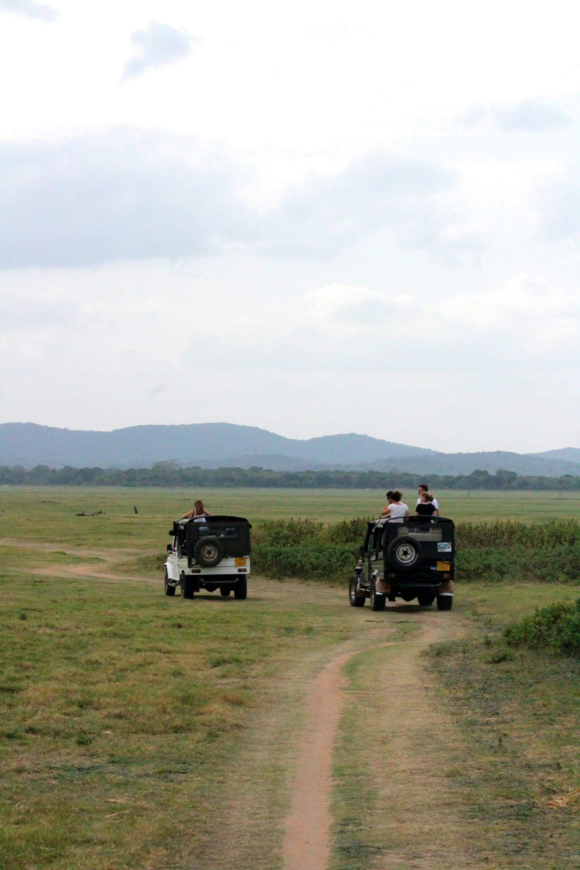 YALA NATIONAL PARK