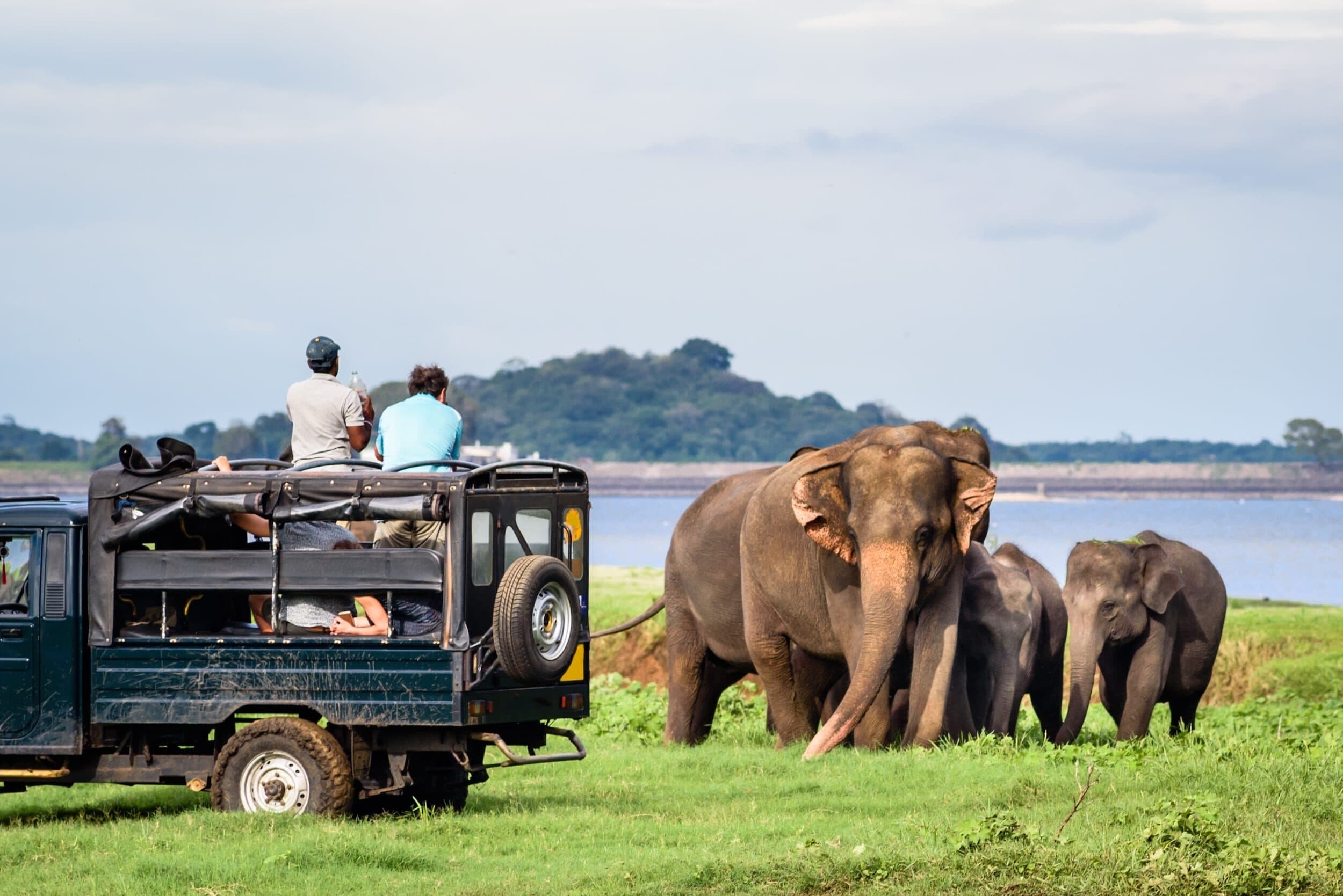 Yala National Park Yala